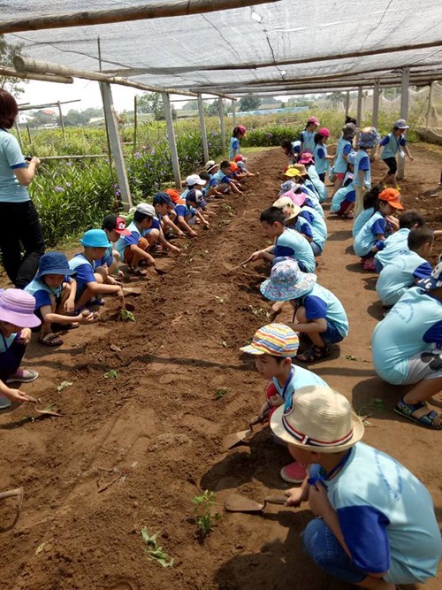 Chuyến dã ngoại thú vị của các bé trường mầm non Gia Thượng tại trang trại giáo dục Viet Village.